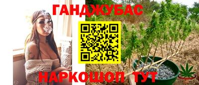 гашиш Новозыбков